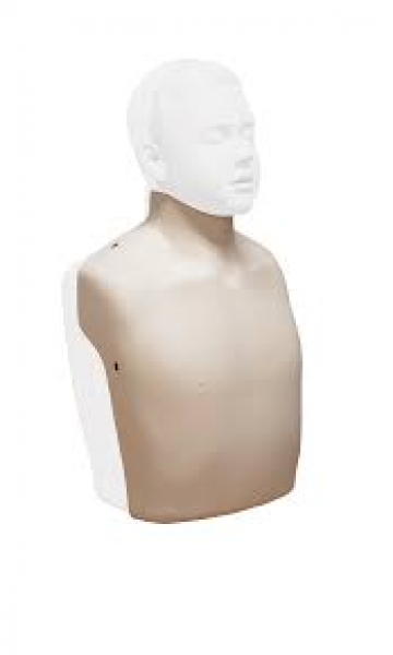 Brayden peau de torse